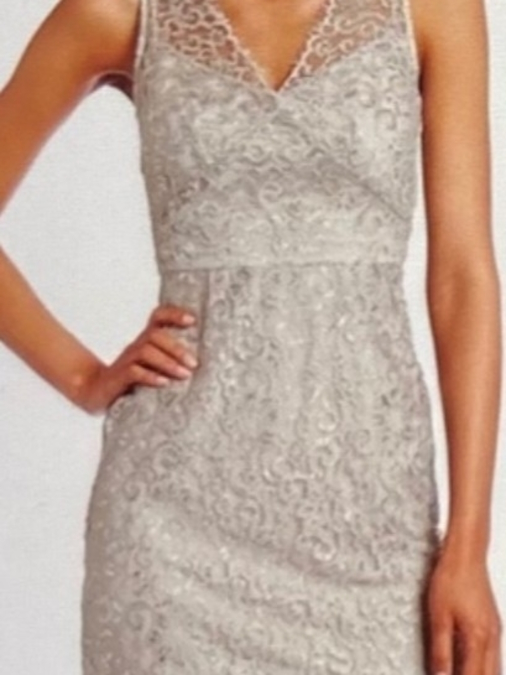 BCBGMaxAzria Silver Lace V Neck Sheath Dress